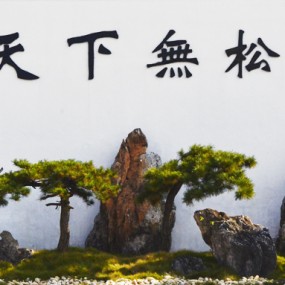 走走   看看