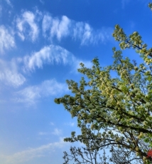秦岭—翠华山