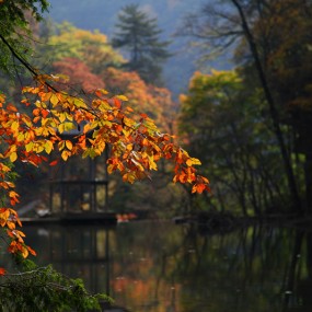 黎平的秋天