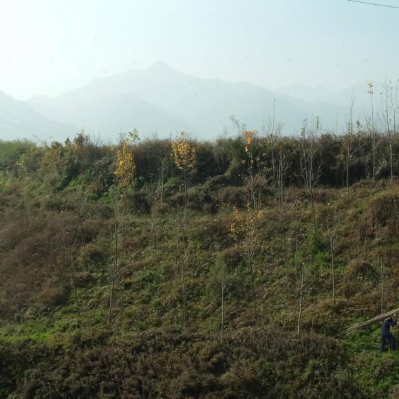 小峪风景