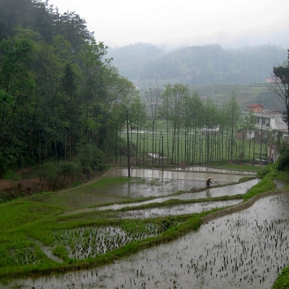陕南小景