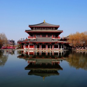芙蓉园小景致