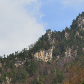 黄柏源