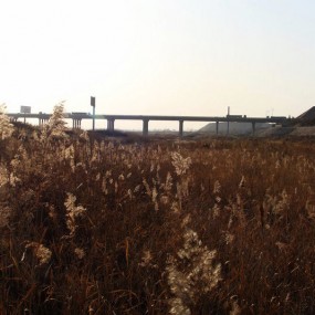 谓河秋色