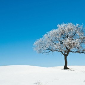 雪の旅