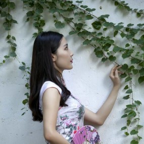 清新旗袍妹