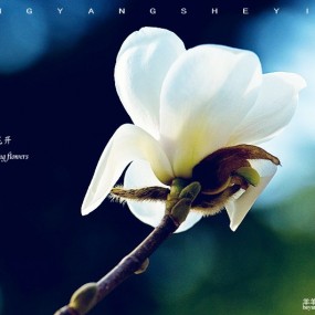 春暖花开