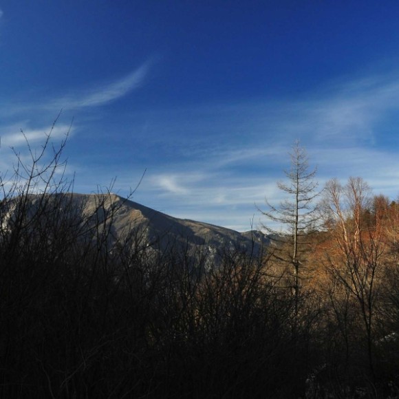 高山草甸