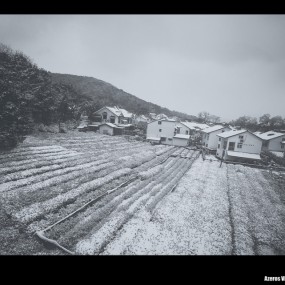 西子冷雪