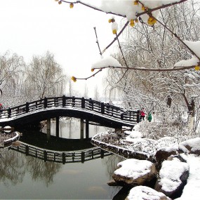 雪花飞舞