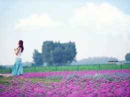 紫色漫境