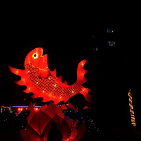 龙与鱼