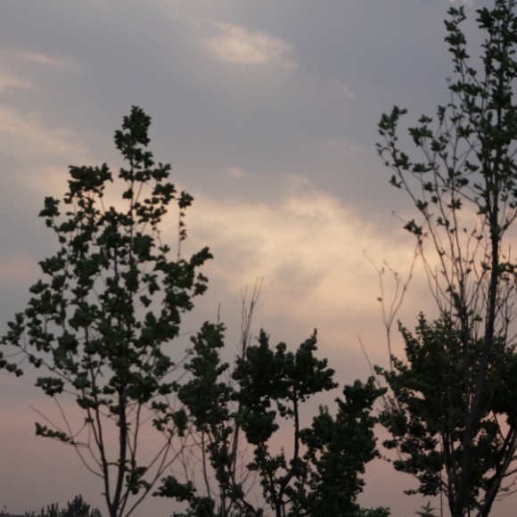 夕阳西下