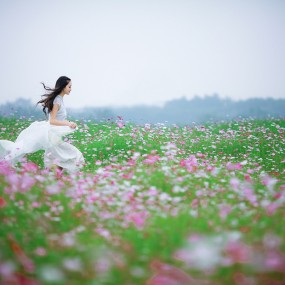 花海~