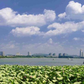 夏日玄武湖