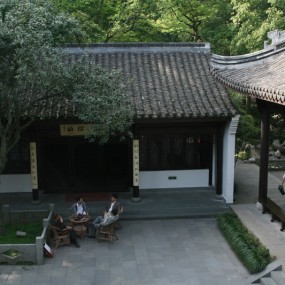 龙井问茶