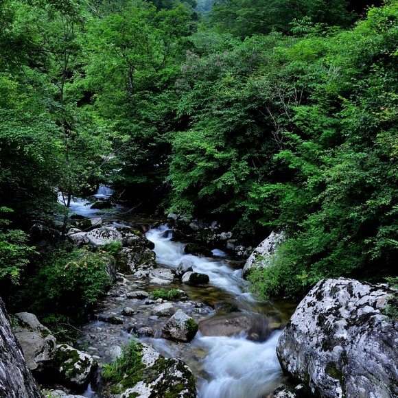 红河谷