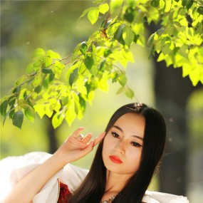 古树丽影