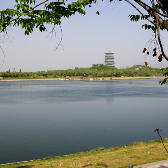灞河湿地随拍
