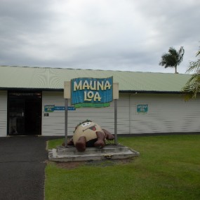 ֮(The Big Island)