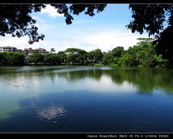 仙湖美景
