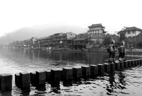 黑白治愈系