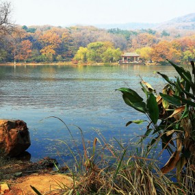 紫霞湖