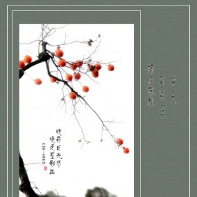 柿红深秋
