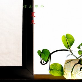 怀念那个夏天