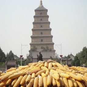 大雁塔