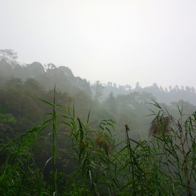 峨眉