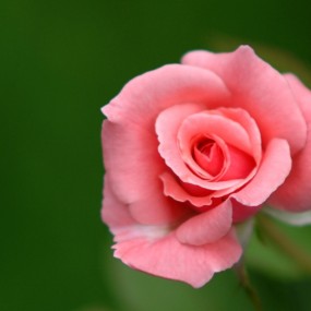 拍花练手