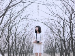 樱花结尾