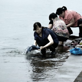 水乡拾趣
