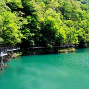 田园  流水