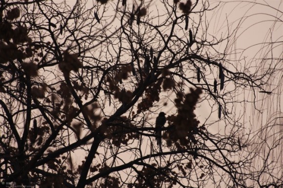 冬天、沣峪口（非专业，拍自己喜欢的照片而已）