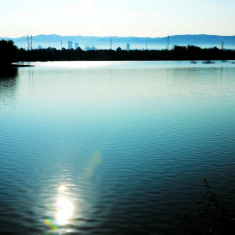 灞桥湿地