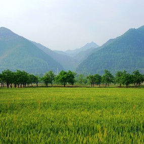 秦岭脚下