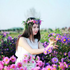 【窑店花开分外香】