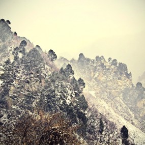 【秦岭雪】