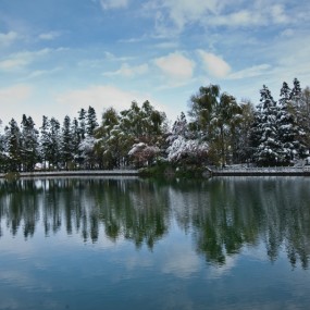 2013年雪