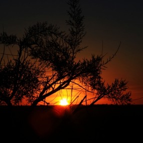 戈壁夕阳