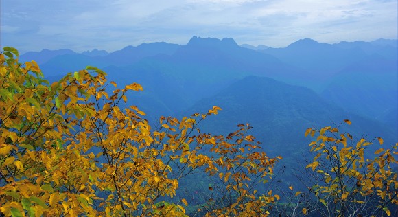 环山路秋色