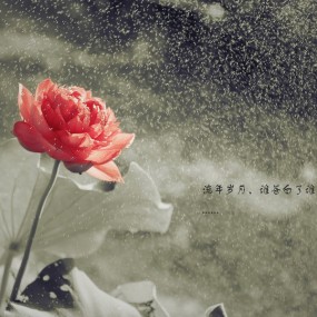 夜雨