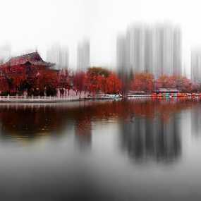 兴庆公园……