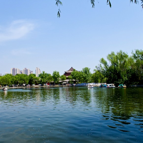 兴庆湖畔
