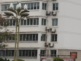 童趣