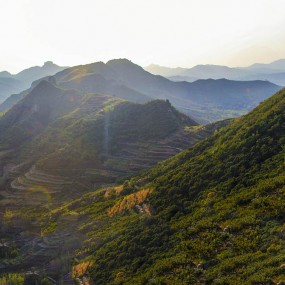 瞭阳崮秋景