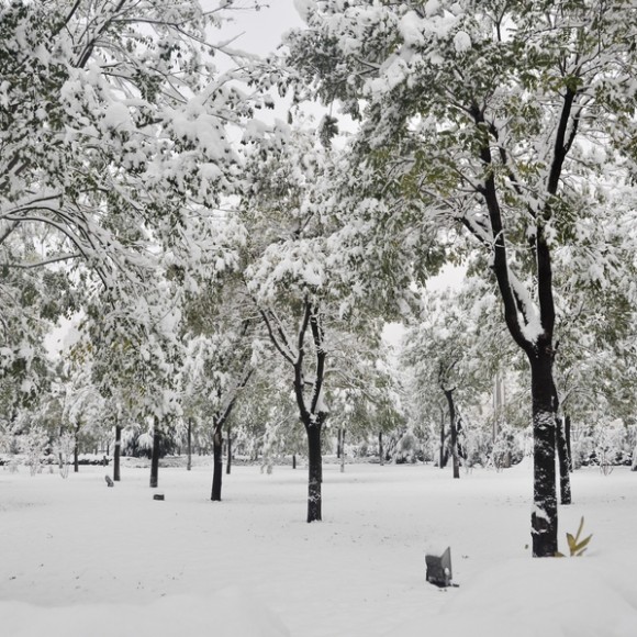 怀念那年的雪