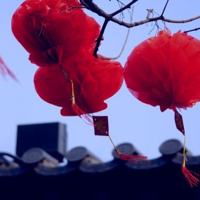 广场随拍